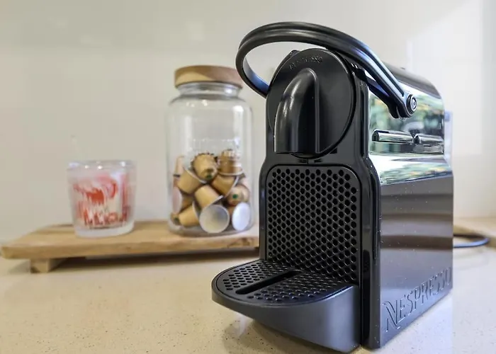 Close To Everything Bright Modern 公寓 纳扎雷